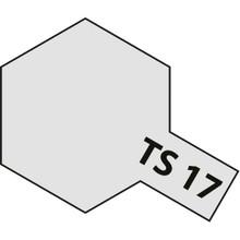 TS-17 Spray Aluminium Silver