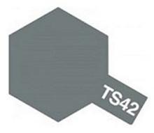 TS-42 Spray Light Gun Metal