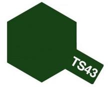 TS-43 Spray Racing Green
