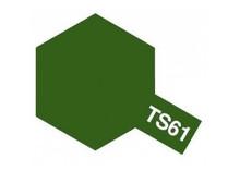 TS-61 Spray Nato Green