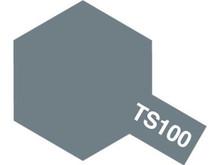 TS-100 Spray Semi-Gloss Bright Gun Metal