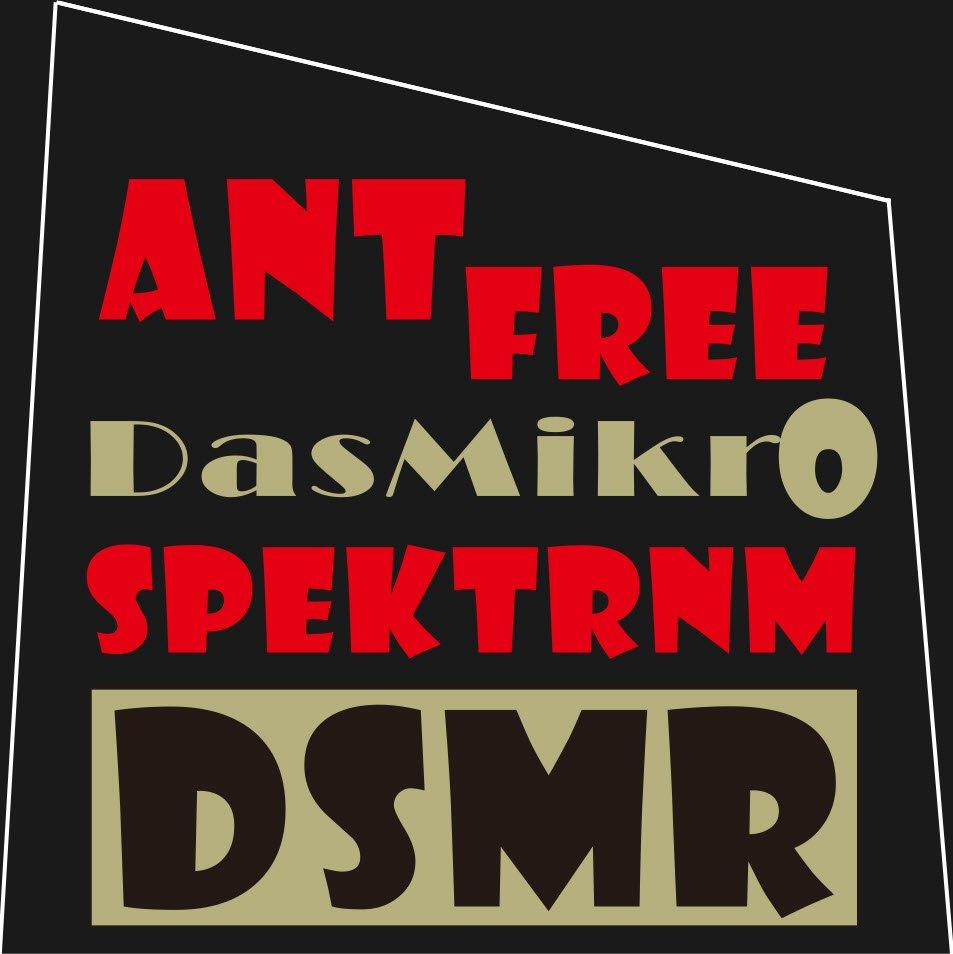 Spektrum Compatible 5CH DSMR and SLT Antenna-less Receiver