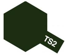 TS-2 Spray Dark Green 