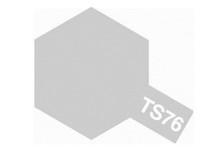 TS-76 Spray Mica Silver