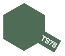 TS-78 Spray Field Grey 2