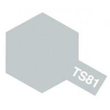 TS-81 Spray Royal Light Grey