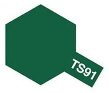 TS-91 Spray Dark Green (JGSDF)